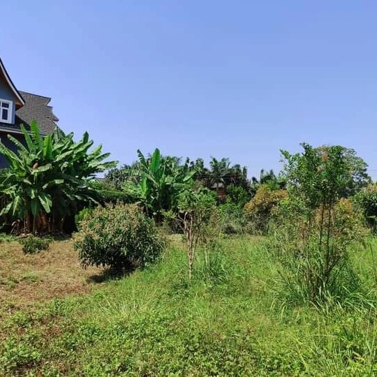 A Quater Acre Plot For Sale in Ruiru