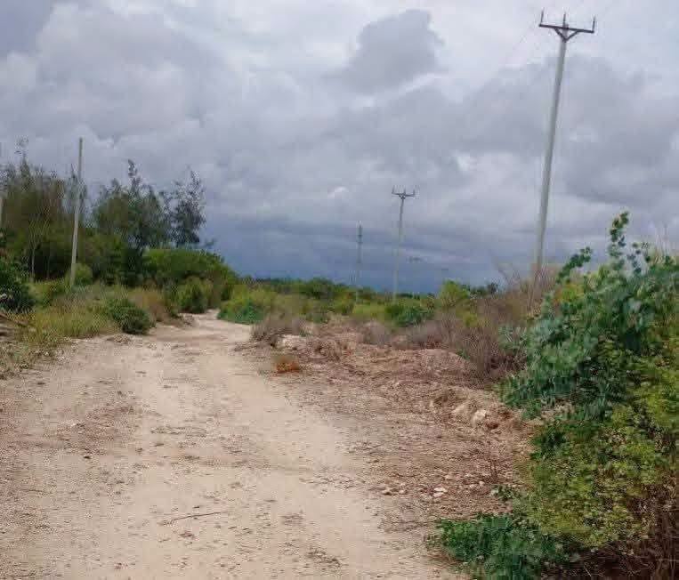 a quater acre plots for sale in watamu, kilifi