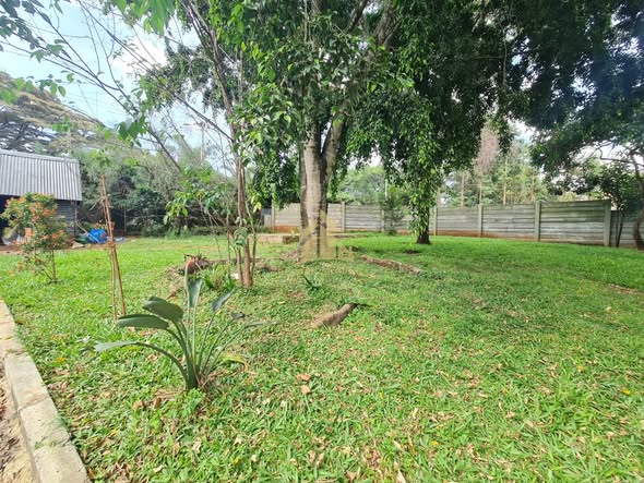 A Stunning Standalone 3 Bedroom Colonial Bungalow to let in Karen Image