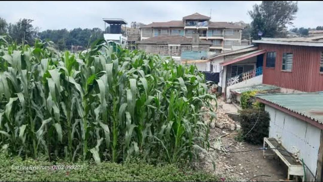 ¼ Acre × 2 Adjacent Plots for sale in ngong