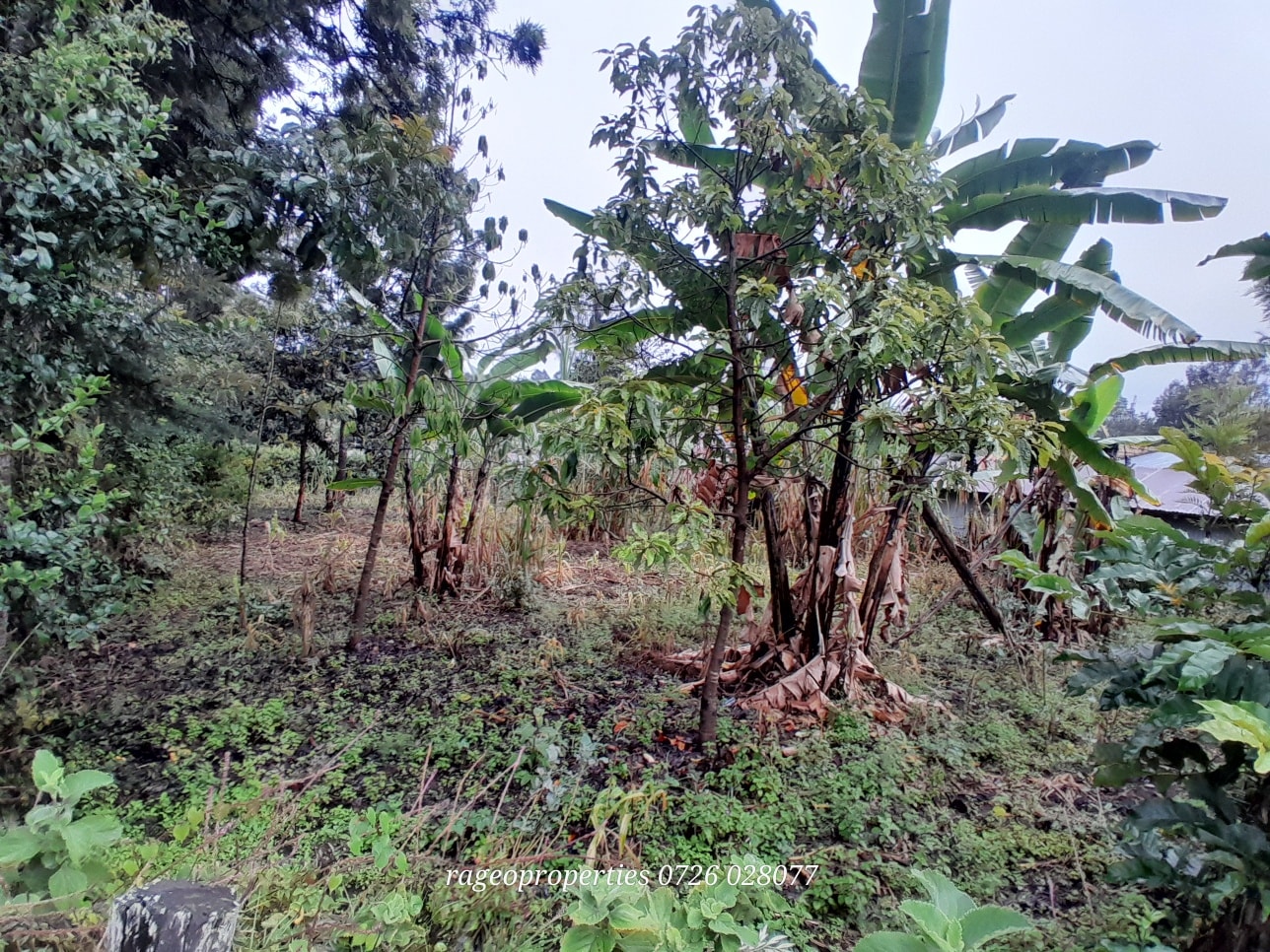 ¼ acre for sale in Kerarapon Drive 14