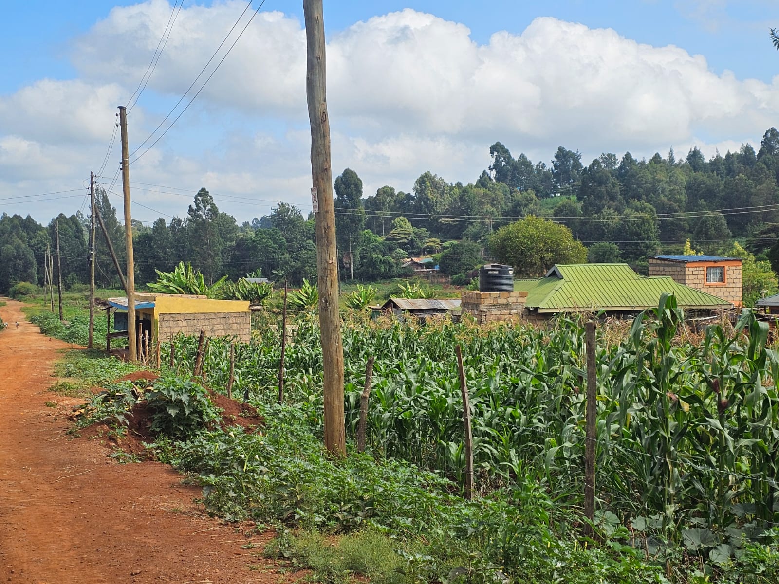 ¼ acre for sale in Kikuyu, Gikambura Image