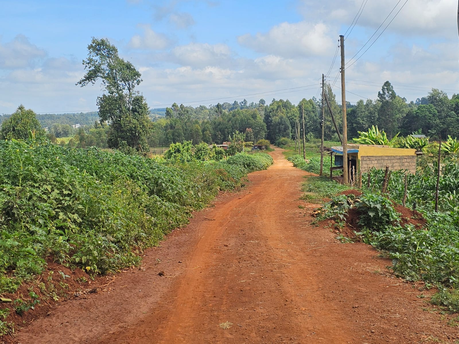 ¼ acre for sale in Kikuyu, Gikambura