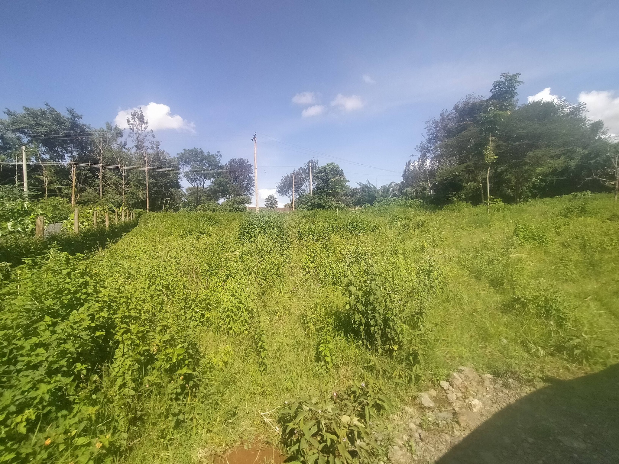 ½ acre for sale in Rhino park rd,Karen Image