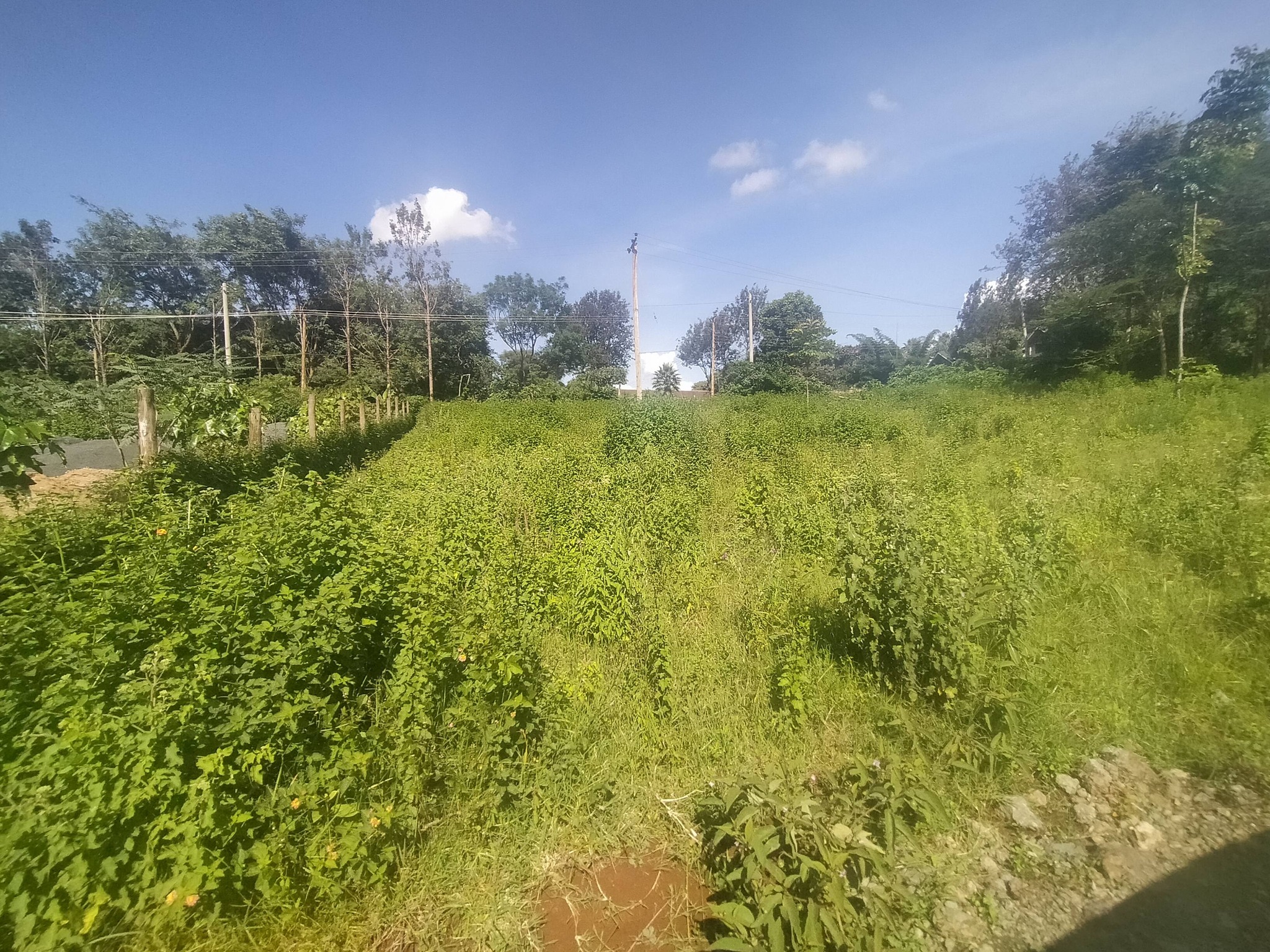 ½ acre for sale in Rhino park rd,Karen