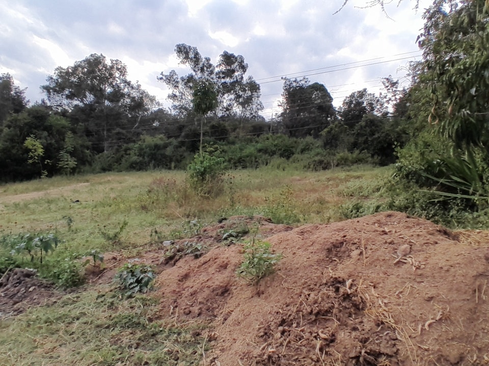 ½ acre for sale near karen hardy Image