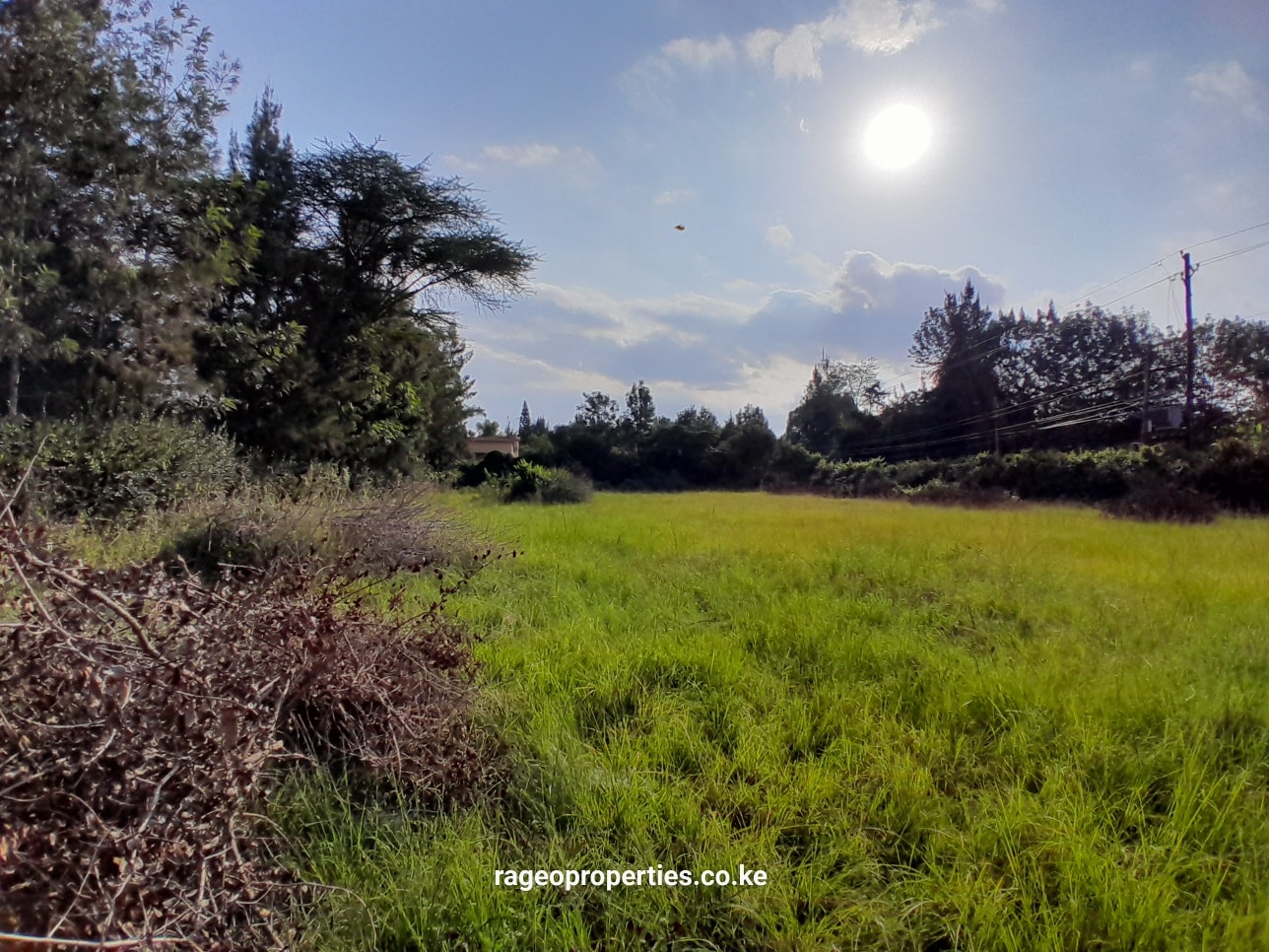 ½ acre for sale near karen hardy Image