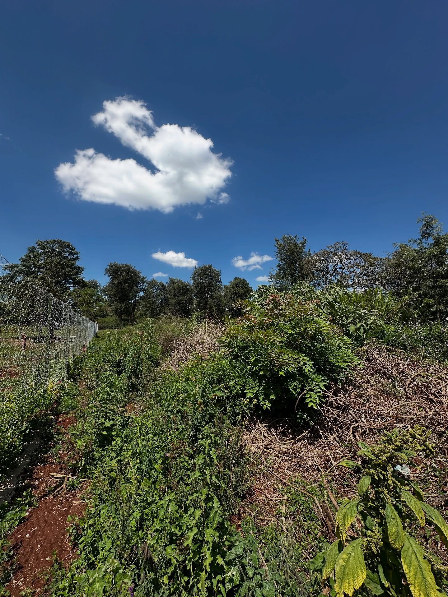 ½ Acre Plot for Sale in Karen Image