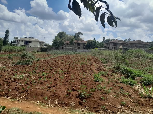 ¼ acre plot for sale in Kerarapon