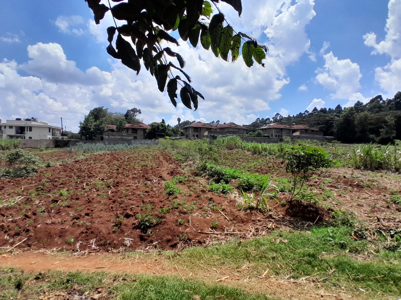 ¼ acre plot for sale in Kerarapon Image