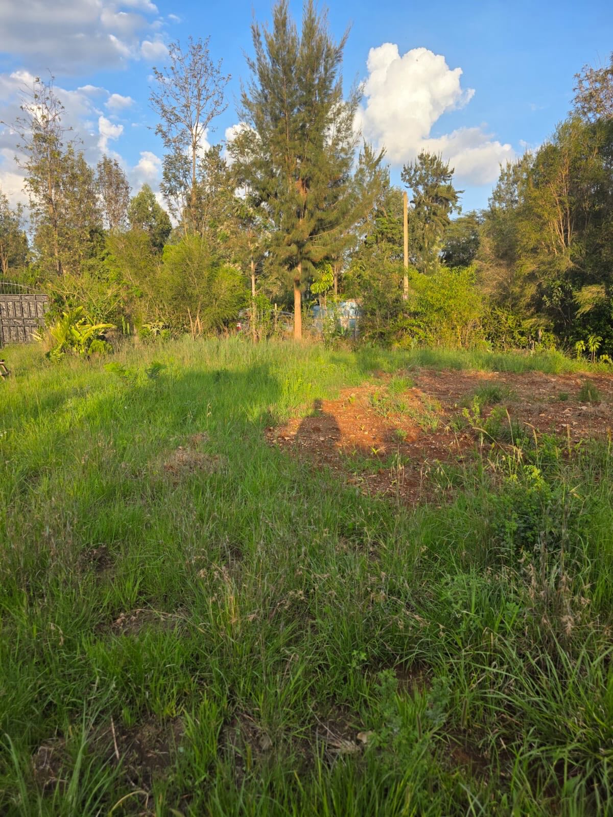 ¼ Acre Plot for Sale in Ngong, Oloolua