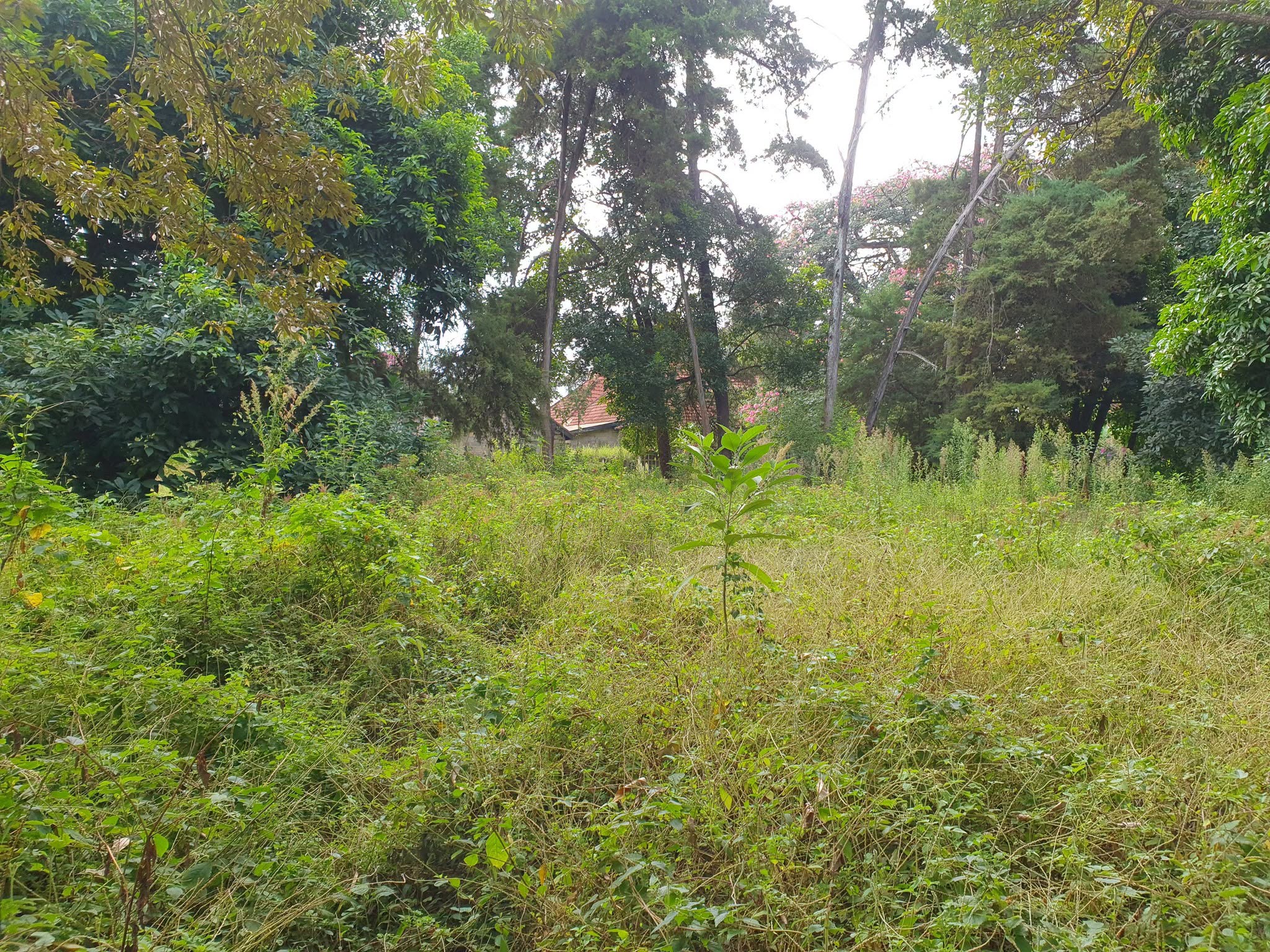 ¼-Acre Plot For Sale in runda paradise