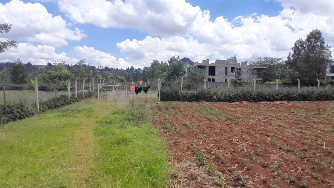 ¼ acre plots for sale in Kerarapon