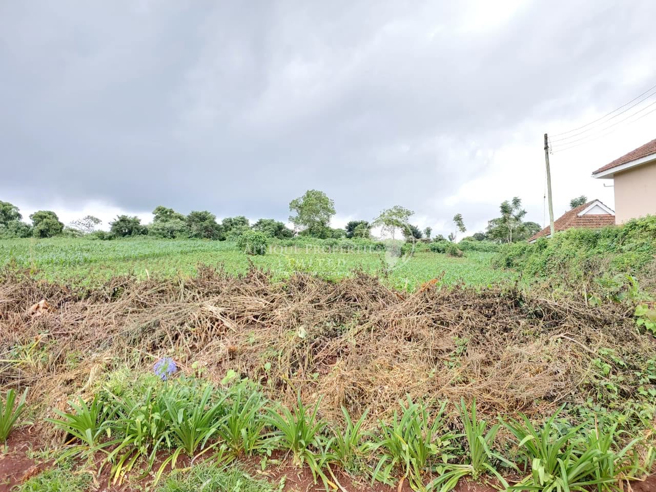 ¼ acre plots for sale in migaa golf estate