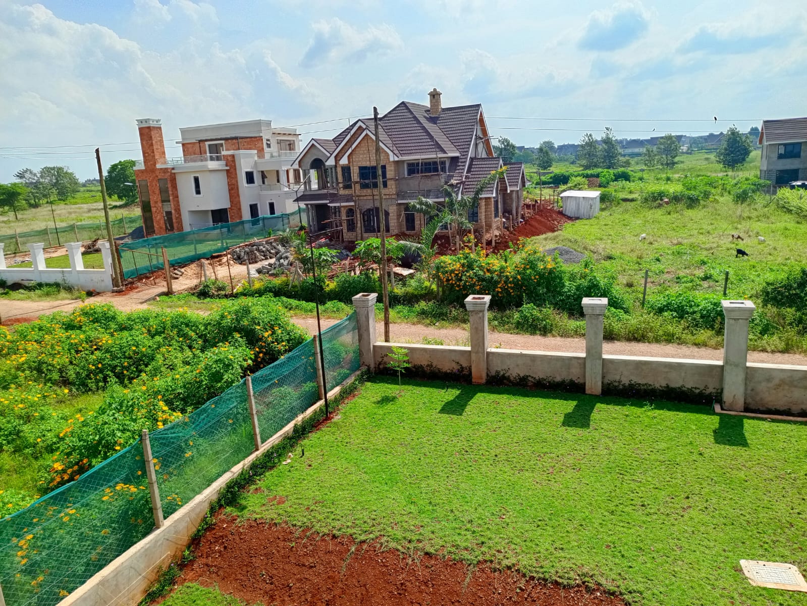 ¼ Acre Plots For Sale in Ruiru Image