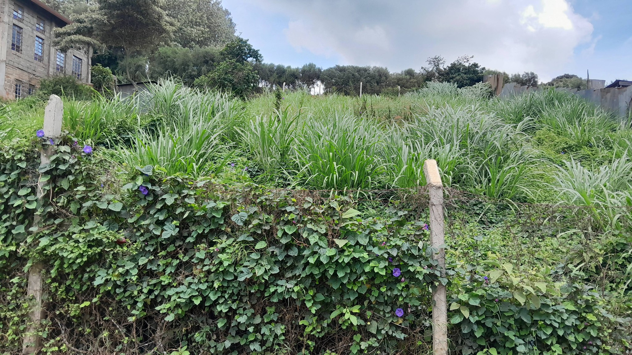 ¼ ACRE PRIME COMMERCIAL PLOT FOR SALE – NGONG TOWN