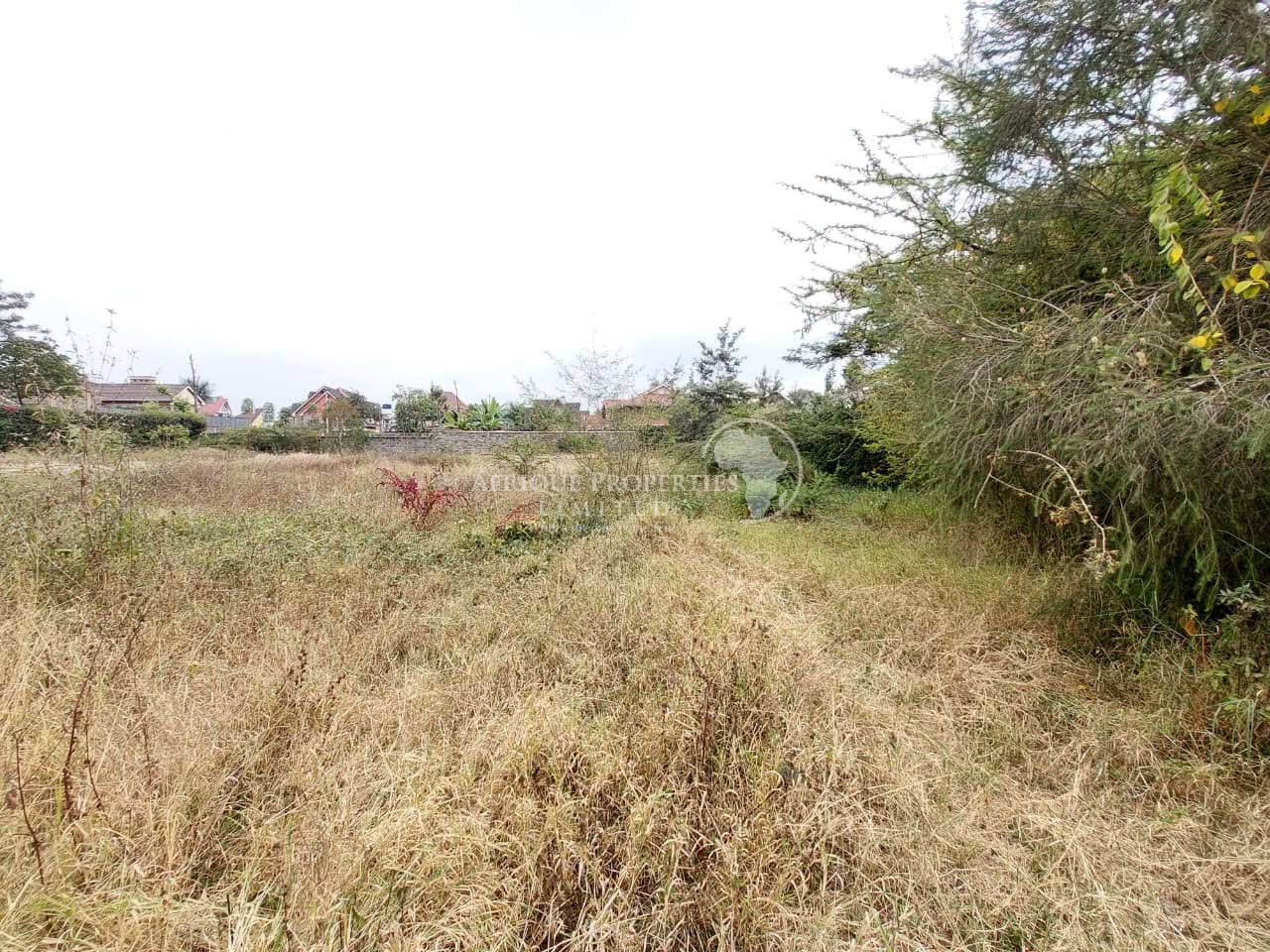 ½ acre prime land for sale in KU boma estate, kenyatta road Image