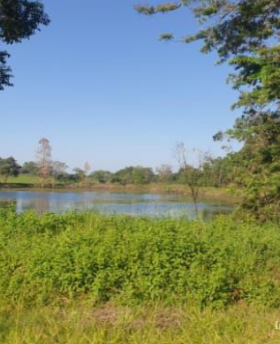 ¼ Acre Prime Plot For Sale in Lavington, Vanga Road Image