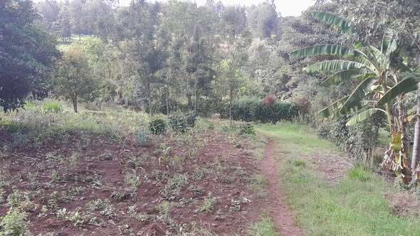⅛ ACRE PRIME RESIDENTIAL PLOTS FOR SALE – KAHARA–NGONG