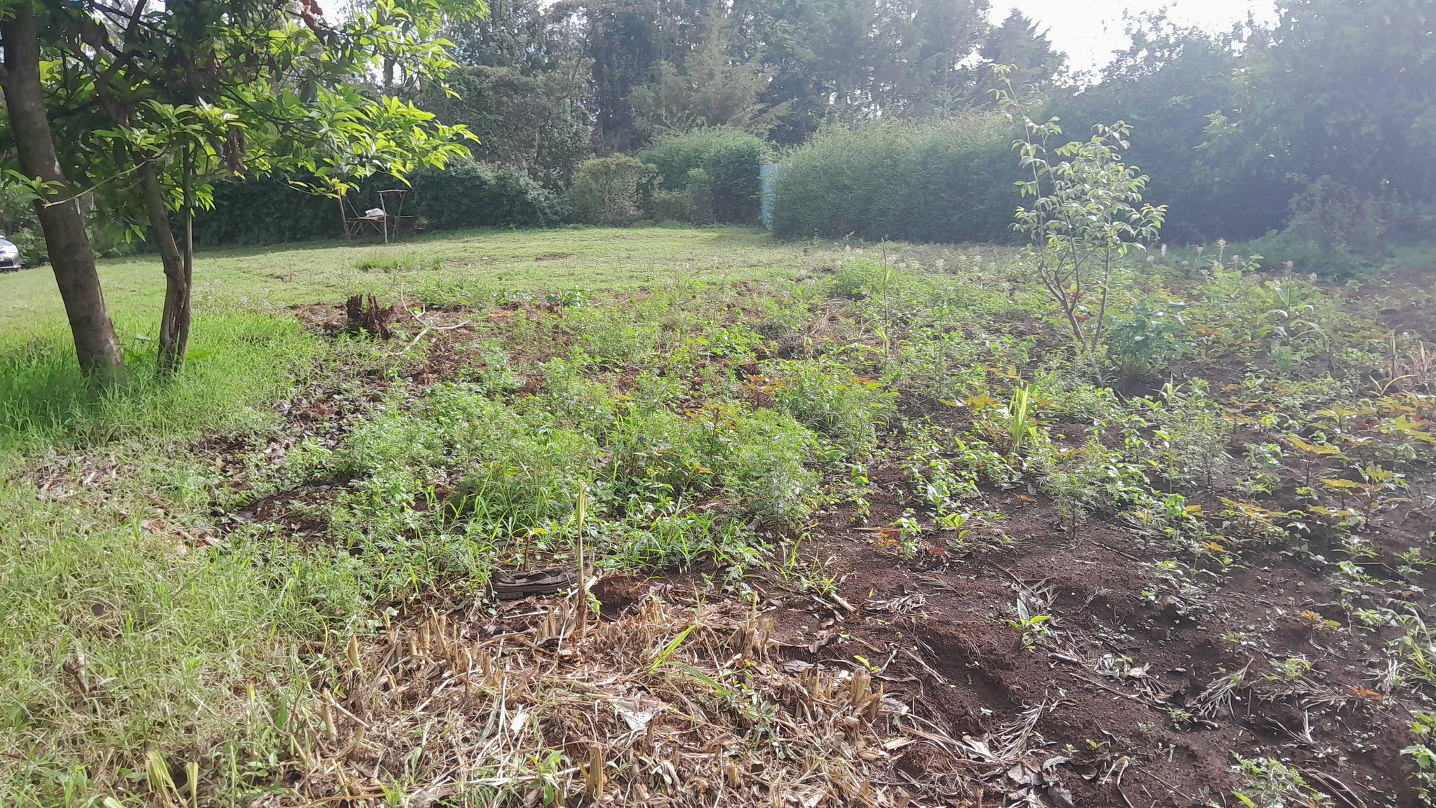 ⅛ ACRE PRIME RESIDENTIAL PLOTS FOR SALE – KAHARA–NGONG Image