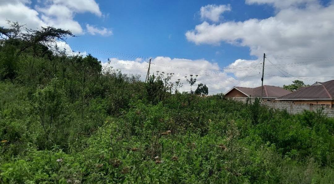 ¼ acre residential plot for sale in ngong kibiko Image