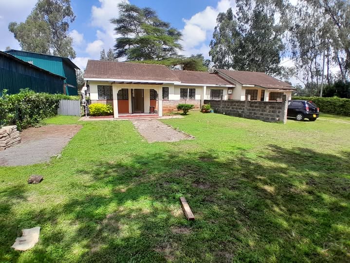 Affordable 3 Bedroom Bungalow For Rent in Karen