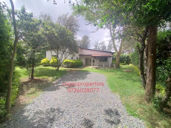 Affordable 3 bedroom bungalow plus sq to let Karen, Nairobi