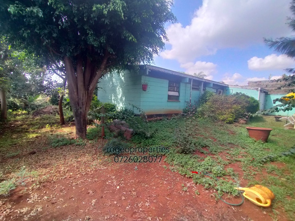 affordable 3 bedroom bungalow to let langata