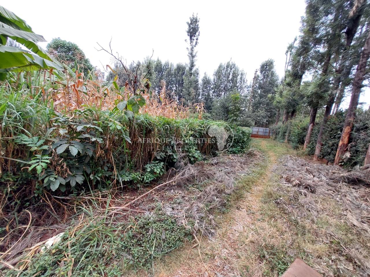 ½ 𝐀𝐜𝐫𝐞 𝐏𝐥𝐨𝐭𝐬 and 1 acre plots for sale in kiukenda estate Image