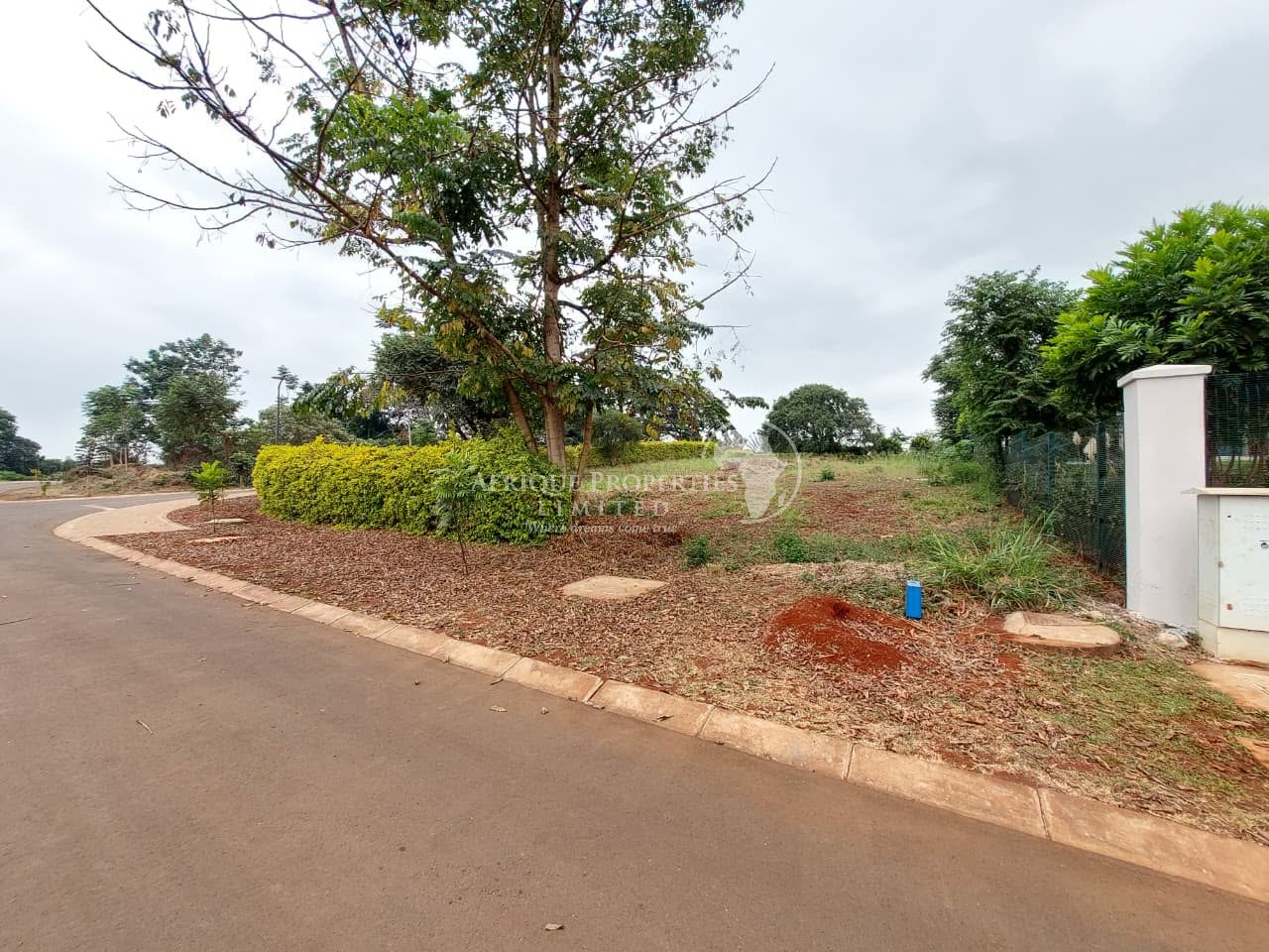¼ and ½ acre plots for sale in Tatu City Image