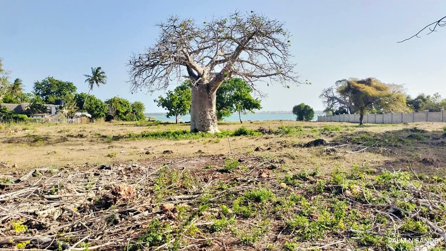 BEACHFRONT PLOTS FOR SALE in Shimoni, Msambweni — Kwale County Image