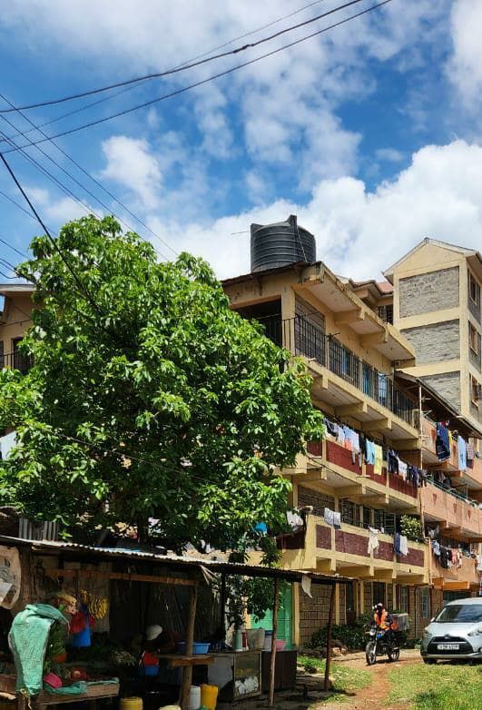 Block Of Apartment For Sale in Kasarani