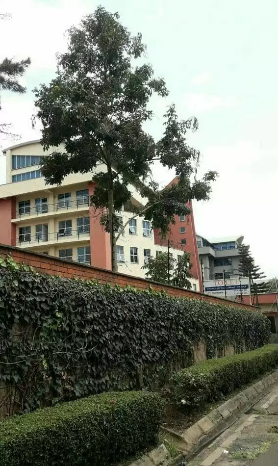 Commercial block of flats for sale in Hurlingham Kilimani Image