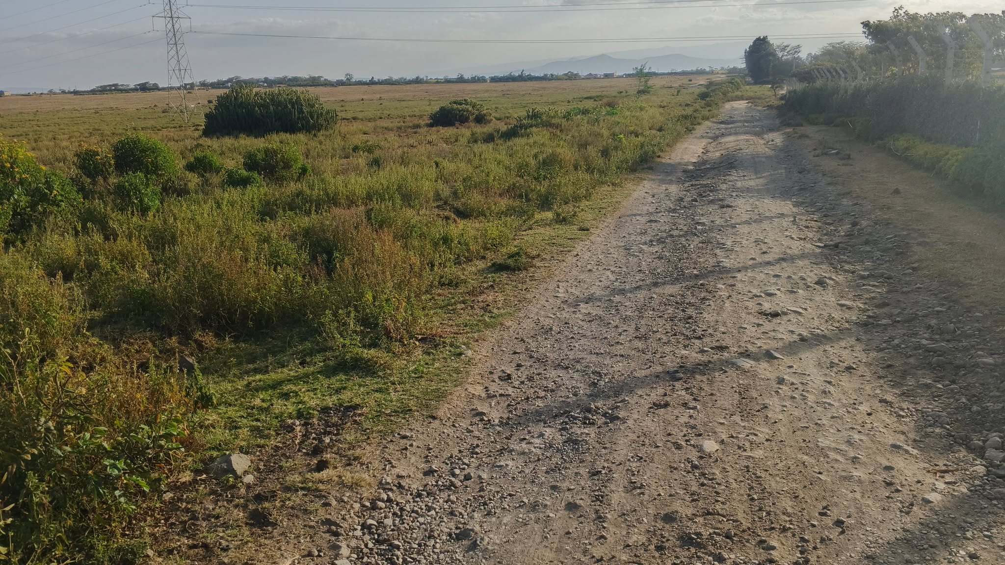 Charming block of 100 acres for sale in Naivasha,  Mai mahui Tarmac. Image