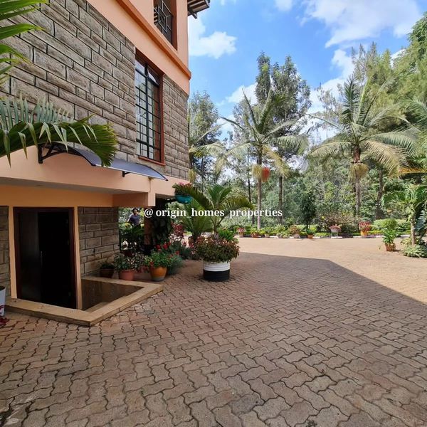 Charming furnished studio apartment to let in Old Kitisuru