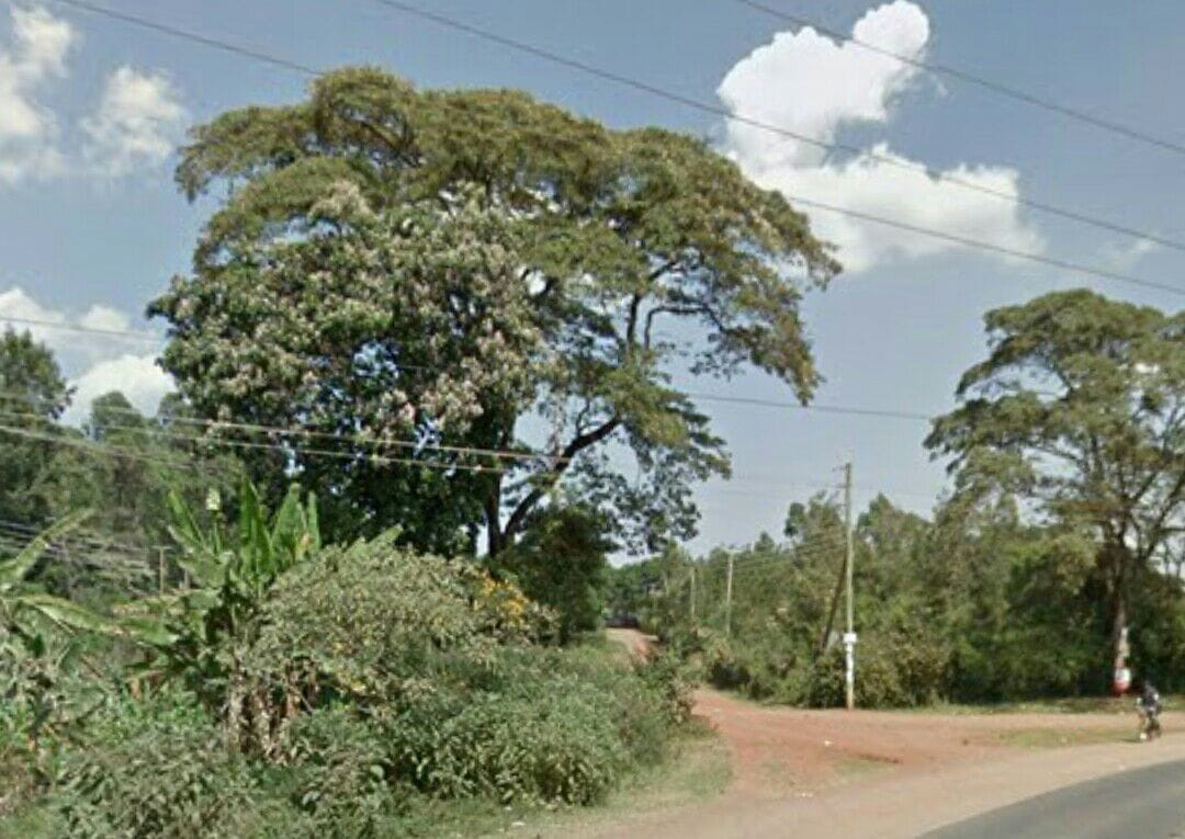 commercial land for long term lease in Karen.