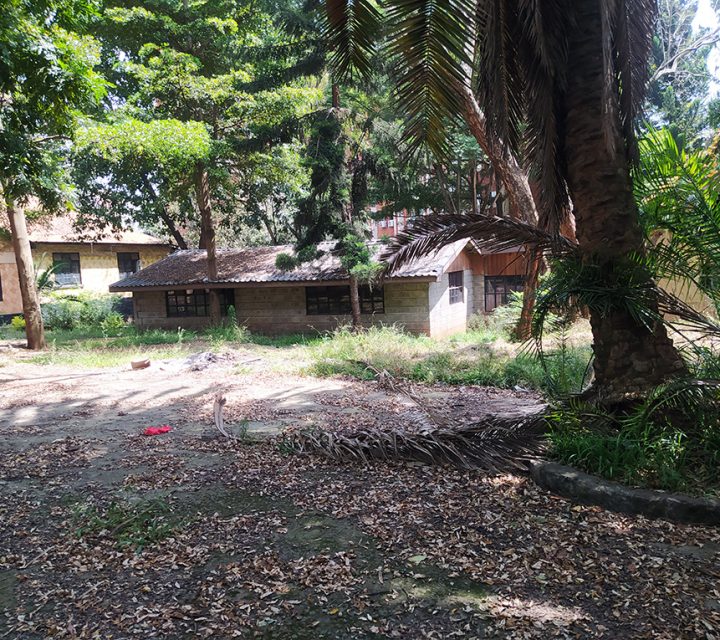 Commercial Land for Sale along Valley Road