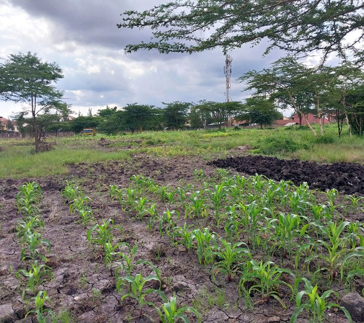 Commercial Land for Sale in South B