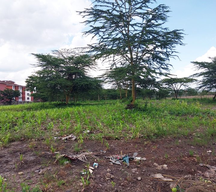 Commercial Land for Sale in South B Image
