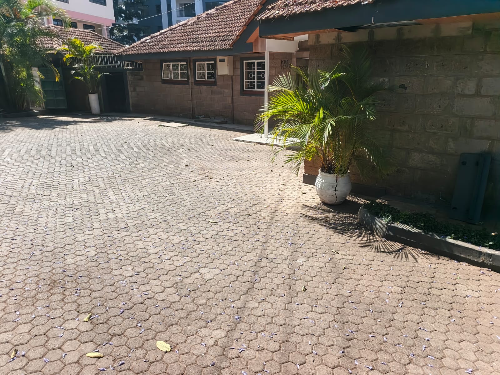Commercial property for lease in kileleshwa