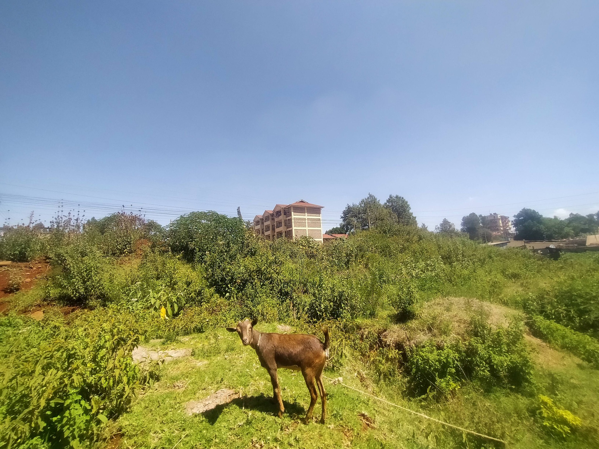 commercial property for sale in Gikambura