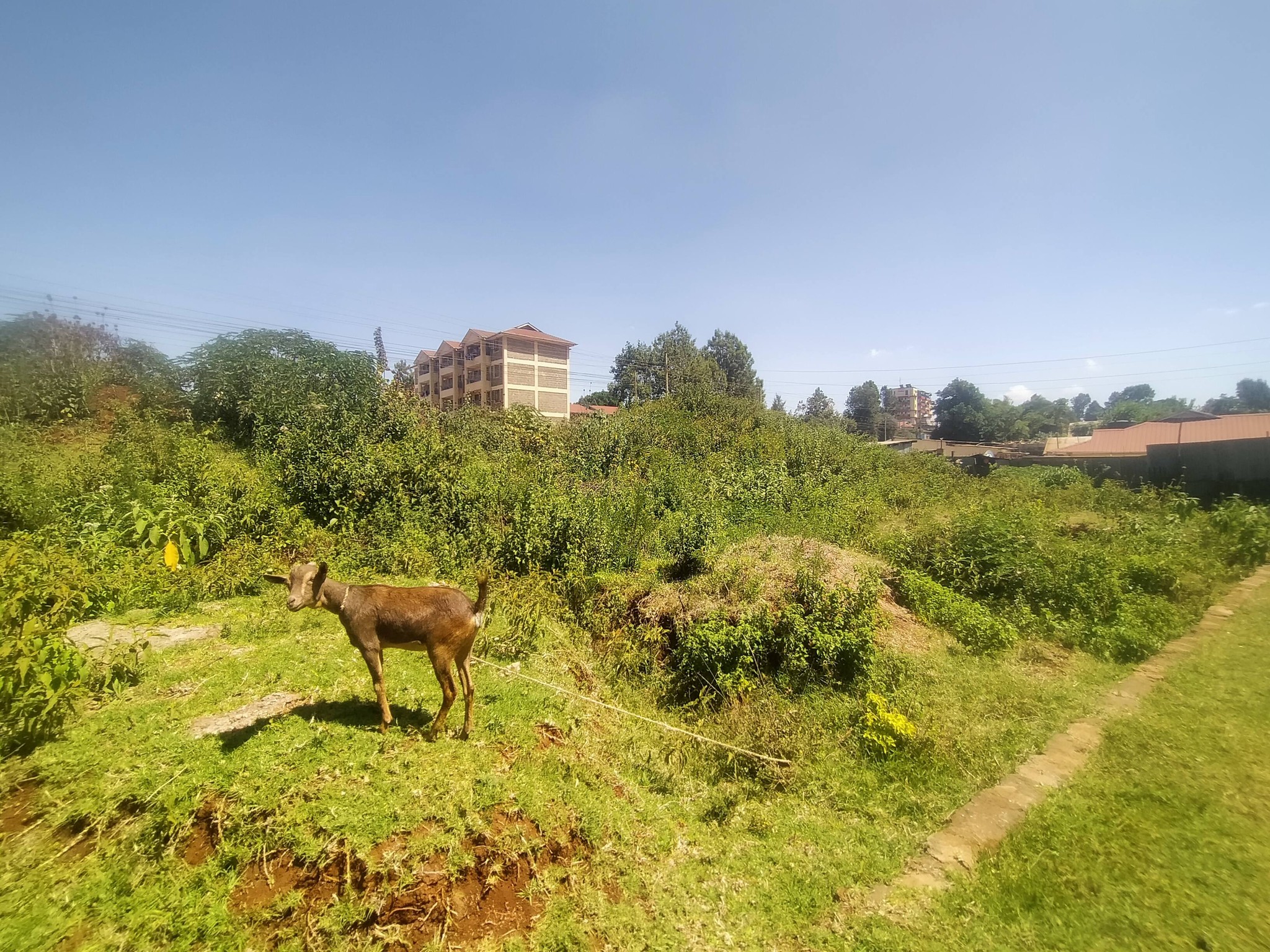 commercial property for sale in Gikambura Image