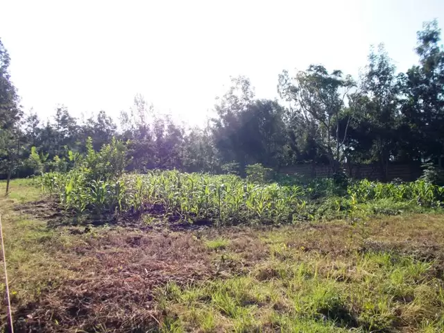Eight acre plot for sale in Timau Ethi