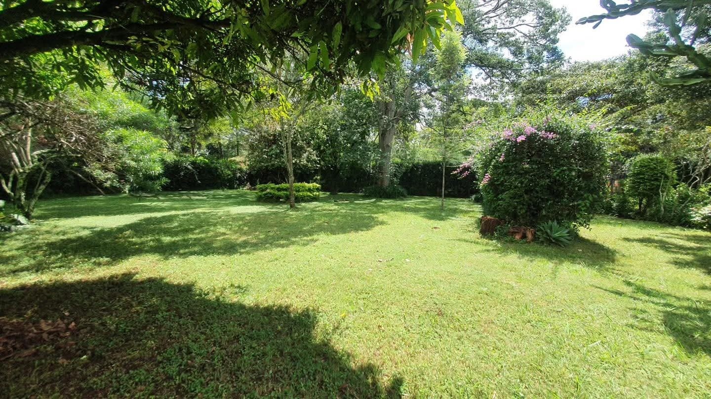 ELEGANT 3 BEDROOM BUNGALOW + DSQ FOR RENT IN KAREN Image