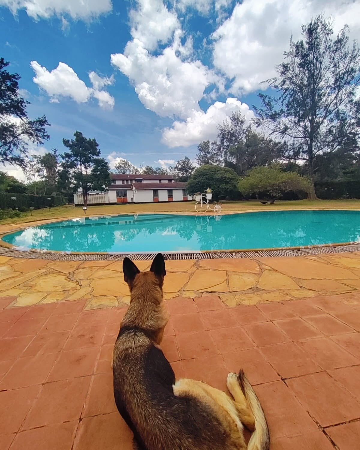 Elegant 5 Bedroom Maisonette To Let in Karen