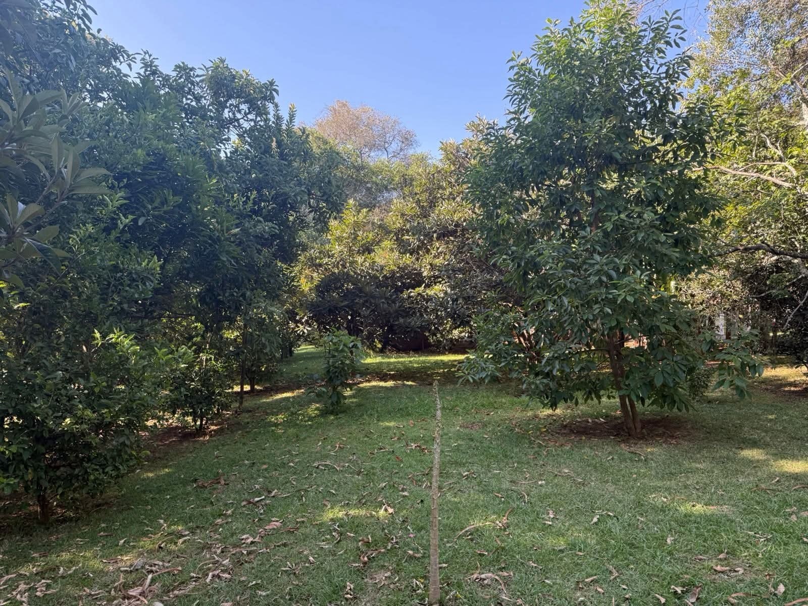 Exceptional 4.45-Acre Estate For Sale in Hardy, Karen Image