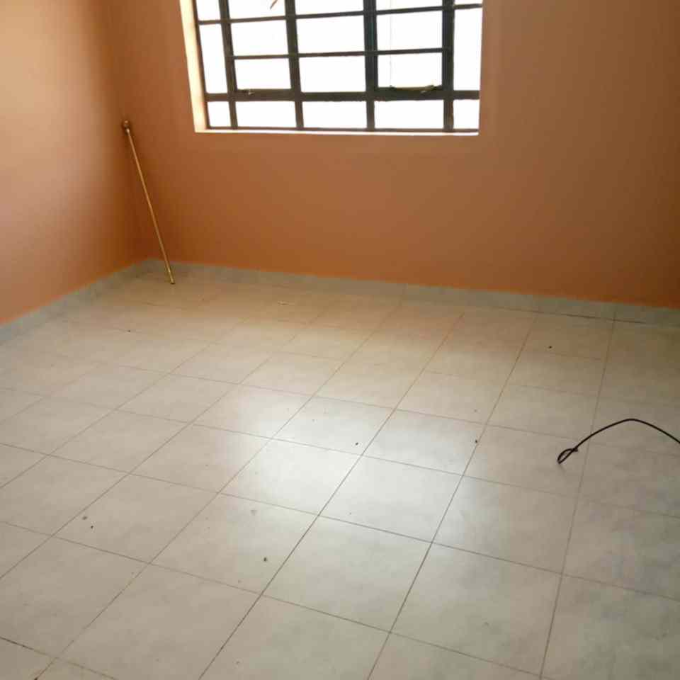 1 bedroom apartment for rent in Syokimau