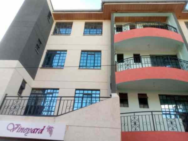 2 bedroom apartment for rent in Syokimau