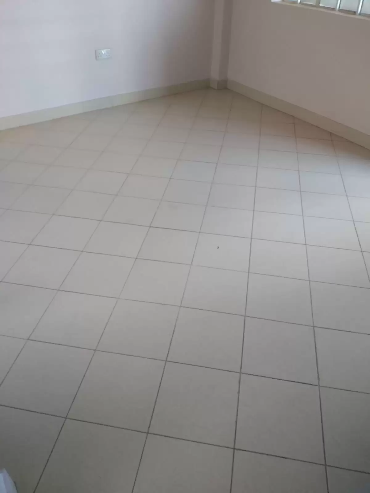 1 bedroom apartment for rent in Ruaka Image