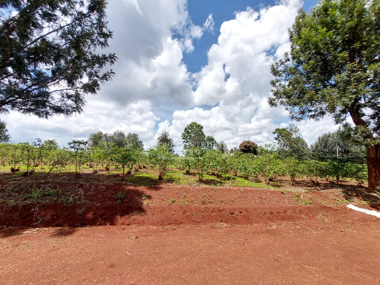 𝟏/𝟐 𝐀𝐜𝐫𝐞 𝐑𝐞𝐬𝐢𝐝𝐞𝐧𝐭𝐢𝐚𝐥 𝐏𝐥𝐨𝐭𝐬 For Sale in Kiambu Road, 𝐌𝐮𝐭𝐡𝐢𝐭𝐡𝐢 𝐄𝐬𝐭𝐚𝐭𝐞 Image